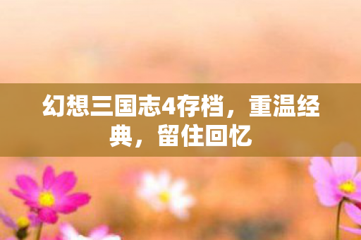 幻想三国志4存档，重温经典，留住回忆