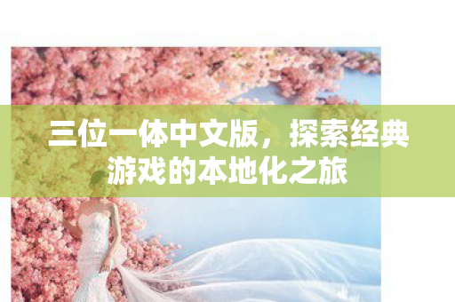 三位一体中文版，探索经典游戏的本地化之旅