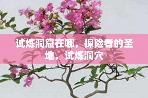 试炼洞窟在哪，探险者的圣地，试炼洞穴