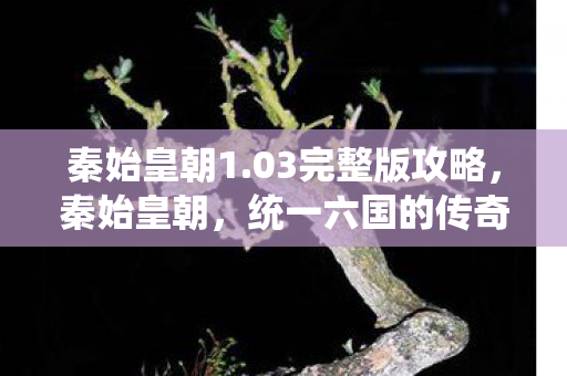 秦始皇朝1.03完整版攻略,秦始皇朝,统一六国的传奇与影响 秦始皇朝1.03完整版攻略,秦始皇朝,统一六国的传奇与影响