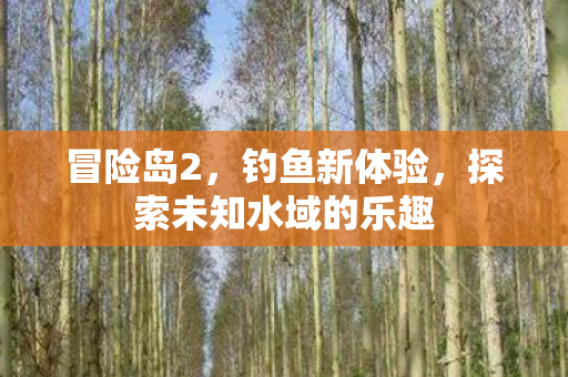 冒险岛2，钓鱼新体验，探索未知水域的乐趣