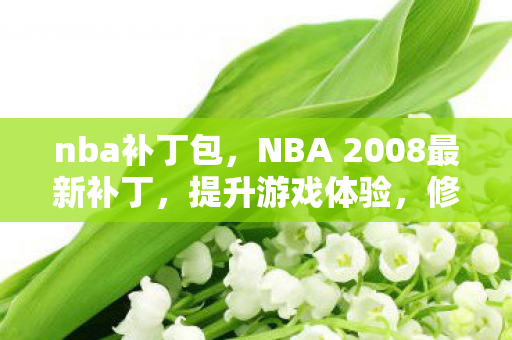 nba补丁包，NBA 2008最新补丁，提升游戏体验，修复常见问题