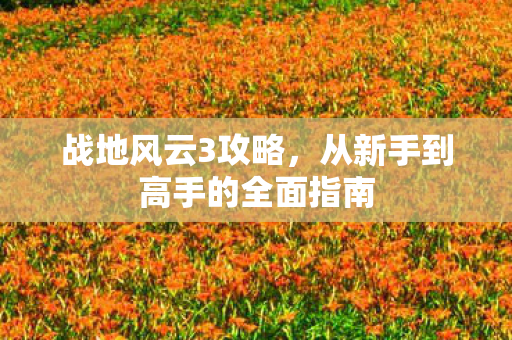 战地风云3攻略，从新手到高手的全面指南