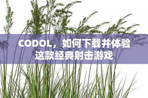 CODOL，如何下载并体验这款经典射击游戏