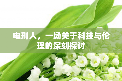 电刑人，一场关于科技与伦理的深刻探讨