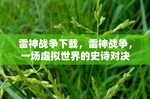 雷神战争下载，雷神战争，一场虚拟世界的史诗对决