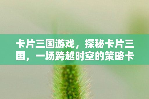 卡片三国游戏，探秘卡片三国，一场跨越时空的策略卡牌盛宴