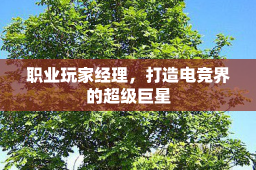 职业玩家经理，打造电竞界的超级巨星