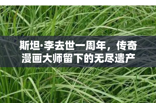 斯坦·李去世一周年，传奇漫画大师留下的无尽遗产