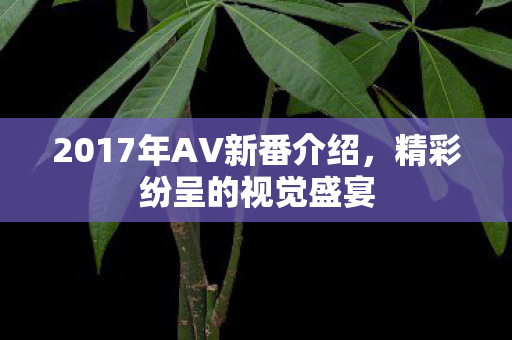 2017年AV新番介绍，精彩纷呈的视觉盛宴
