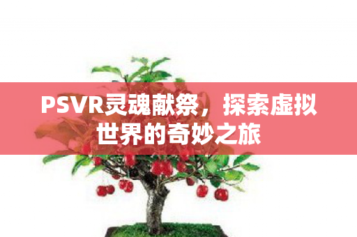 PSVR灵魂献祭，探索虚拟世界的奇妙之旅