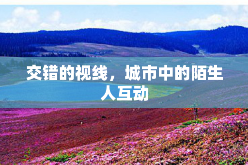 城市中的陌生人互动图片