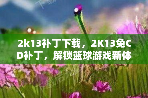 2k13补丁下载，2K13免CD补丁，解锁篮球游戏新体验