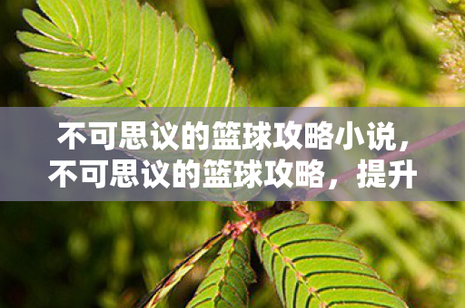 不可思议的篮球攻略小说，不可思议的篮球攻略，提升你的球场表现