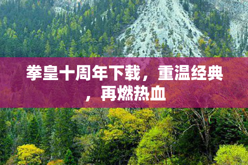 拳皇十周年下载,重温经典,再燃热血 拳皇十周年下载,重温经典,再燃热血