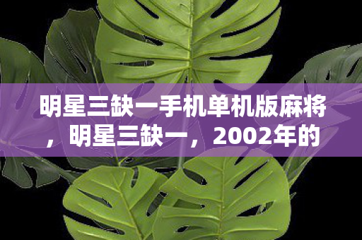 明星三缺一手机单机版麻将，明星三缺一，2002年的经典回忆