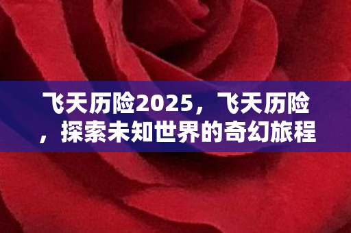 飞天历险2025，飞天历险，探索未知世界的奇幻旅程