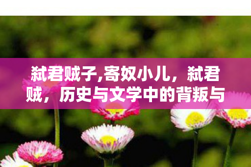弑君贼子,寄奴小儿，弑君贼，历史与文学中的背叛与复仇