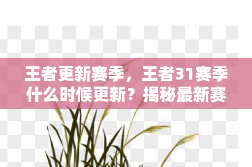 王者更新赛季，王者31赛季什么时候更新？揭秘最新赛季时间表