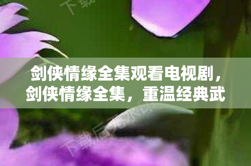 剑侠情缘全集观看电视剧，剑侠情缘全集，重温经典武侠情怀