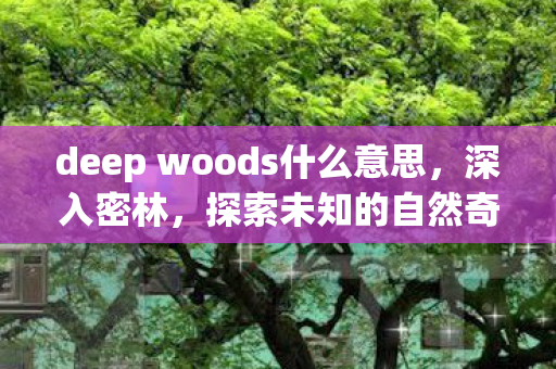 deep woods什么意思，深入密林，探索未知的自然奇迹