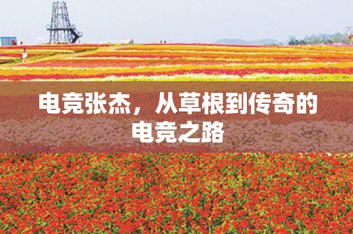 电竞张杰，从草根到传奇的电竞之路