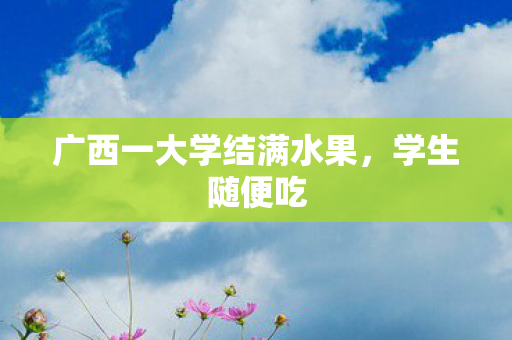 广西一大学结满水果，学生随便吃