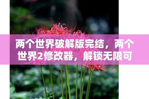 解锁无限可能的创意工具图片
