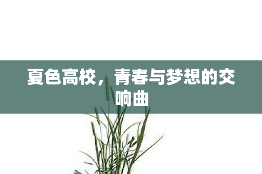 夏色高校，青春与梦想的交响曲