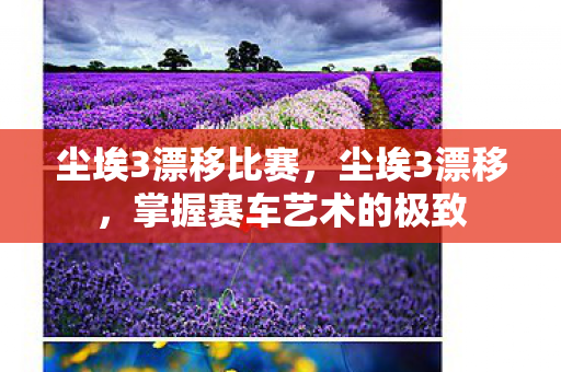 尘埃3漂移比赛,尘埃3漂移,掌握赛车艺术的极致 尘埃3漂移比赛,尘埃3漂移,掌握赛车艺术的极致