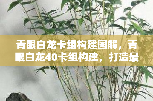 青眼白龙卡组构建图解,青眼白龙40卡组构建,打造最强蓝眼白龙卡组 青眼白龙卡组构建图解,青眼白龙40卡组构建,打造最强蓝眼白龙卡组