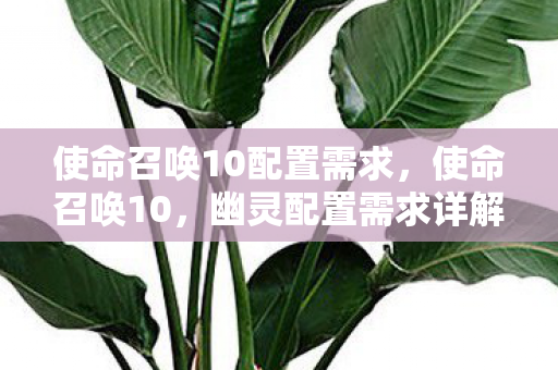 使命召唤10配置需求，使命召唤10，幽灵配置需求详解