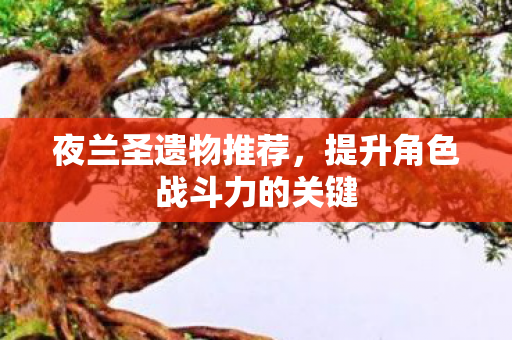 夜兰圣遗物推荐，提升角色战斗力的关键