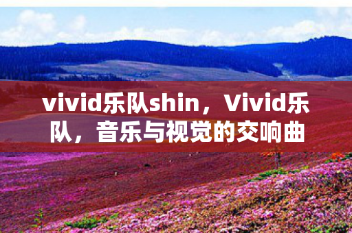 vivid乐队shin,Vivid乐队,音乐与视觉的交响曲 vivid乐队shin,Vivid乐队,音乐与视觉的交响曲