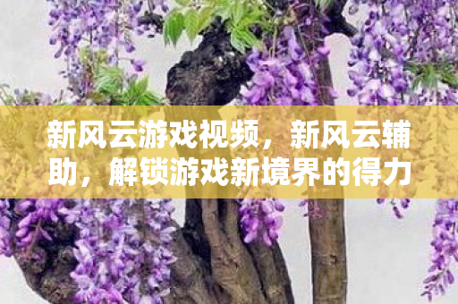 新风云游戏视频,新风云辅助,解锁游戏新境界的得力助手 新风云游戏视频,新风云辅助,解锁游戏新境界的得力助手