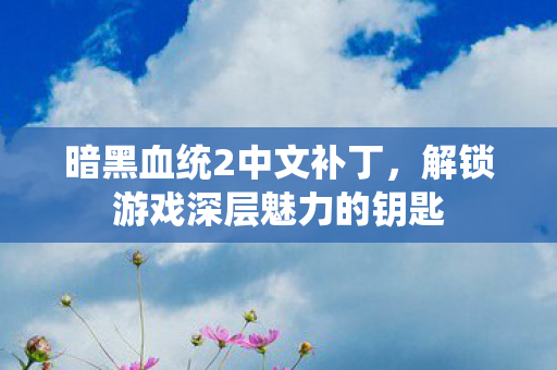 暗黑血统2中文补丁，解锁游戏深层魅力的钥匙
