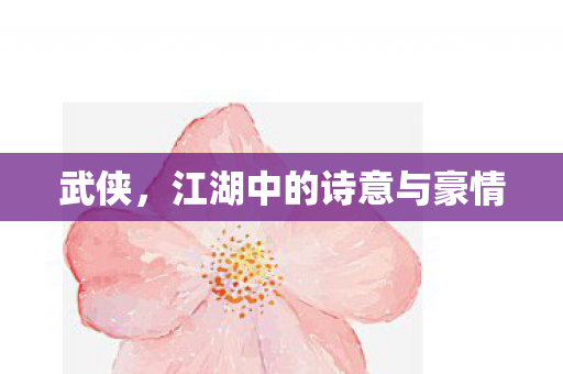 武侠，江湖中的诗意与豪情