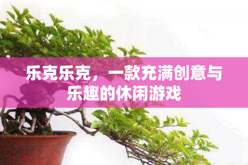 乐克乐克，一款充满创意与乐趣的休闲游戏
