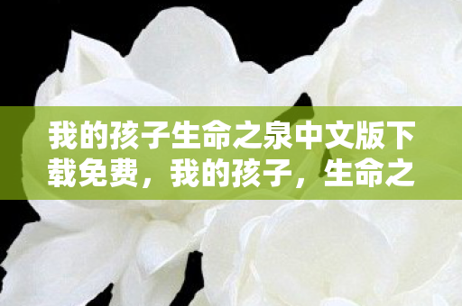 我的孩子生命之泉中文版下载免费,我的孩子,生命之泉——探索中文教育的无限可能 我的孩子生命之泉中文版下载免费,我的孩子,生命之泉——探索中文教育的无限可能