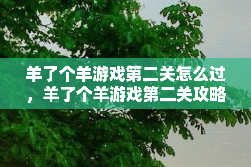 羊了个羊游戏第二关怎么过，羊了个羊游戏第二关攻略，解锁隐藏技巧，轻松通关！