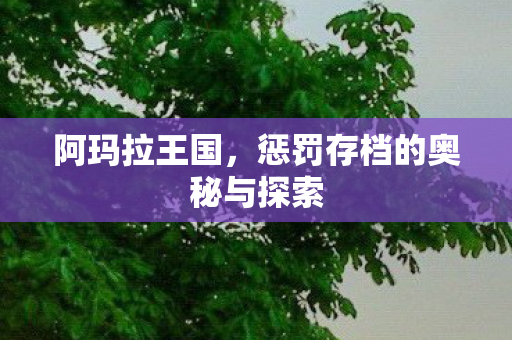 阿玛拉王国，惩罚存档的奥秘与探索