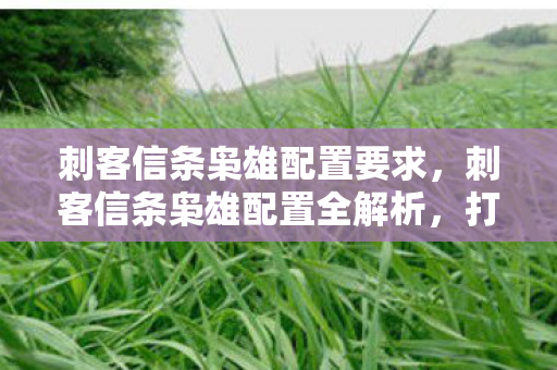 刺客信条枭雄配置要求，刺客信条枭雄配置全解析，打造流畅游戏体验