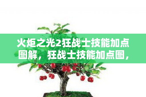 火炬之光2狂战士技能加点图解，狂战士技能加点图，打造火炬之光2中的终极战士
