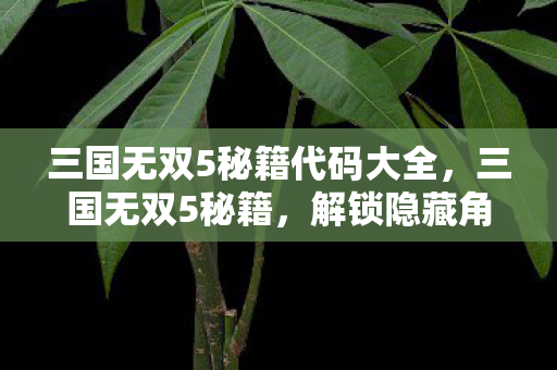 三国无双5秘籍代码大全，三国无双5秘籍，解锁隐藏角色与强力技能的终极指南