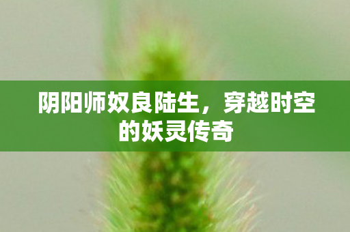 阴阳师奴良陆生，穿越时空的妖灵传奇