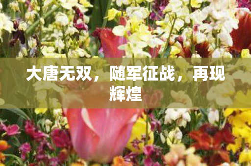 大唐无双，随军征战，再现辉煌