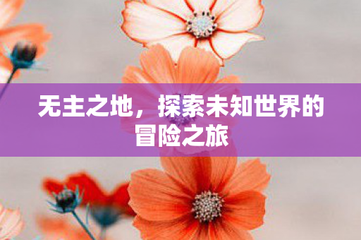 无主之地，探索未知世界的冒险之旅