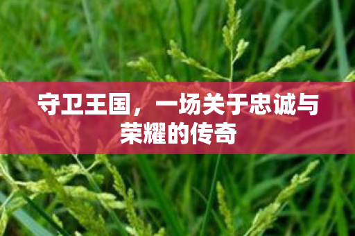 守卫王国，一场关于忠诚与荣耀的传奇
