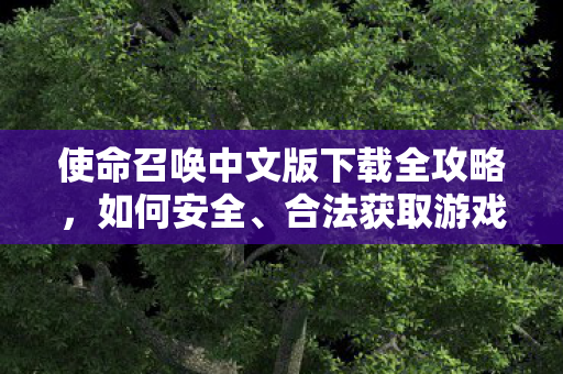 使命召唤中文版下载全攻略，如何安全、合法获取游戏