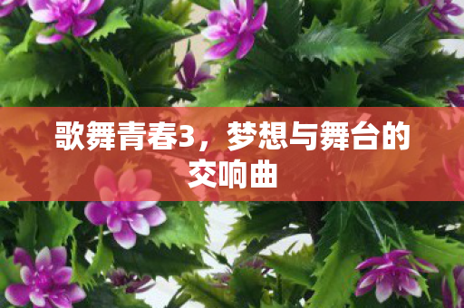 歌舞青春3，梦想与舞台的交响曲